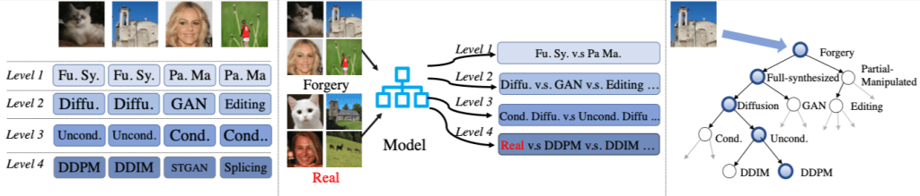 Hierarchical Fine-Grained Image Forgery Detection and Localization